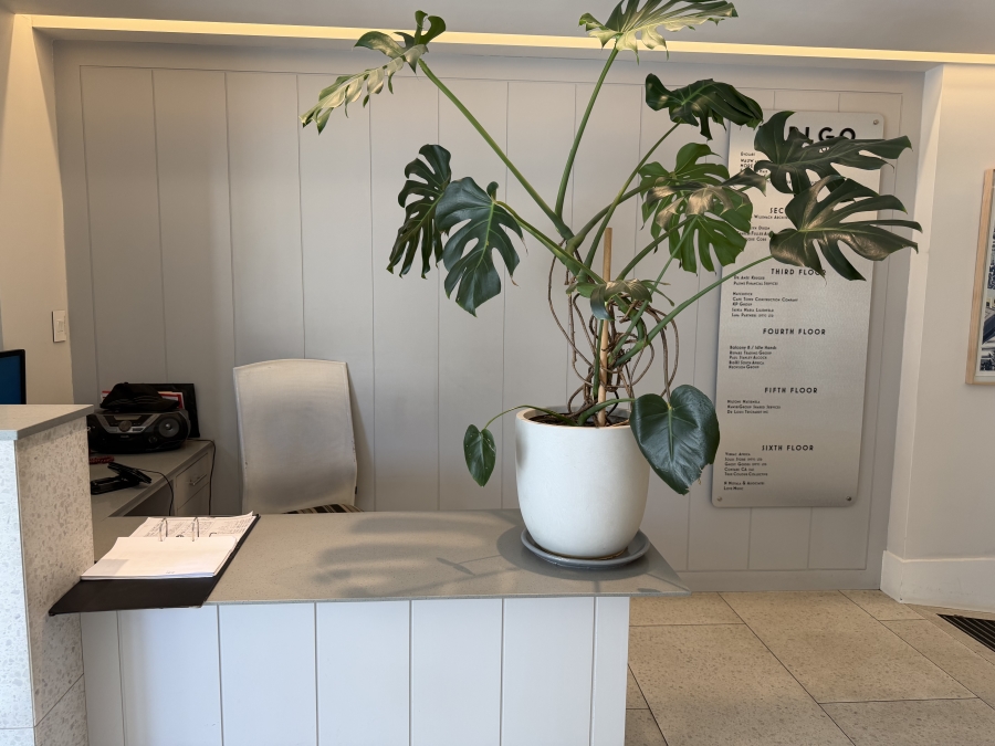 To Let Commercial Property for Rent in Gardens Western Cape